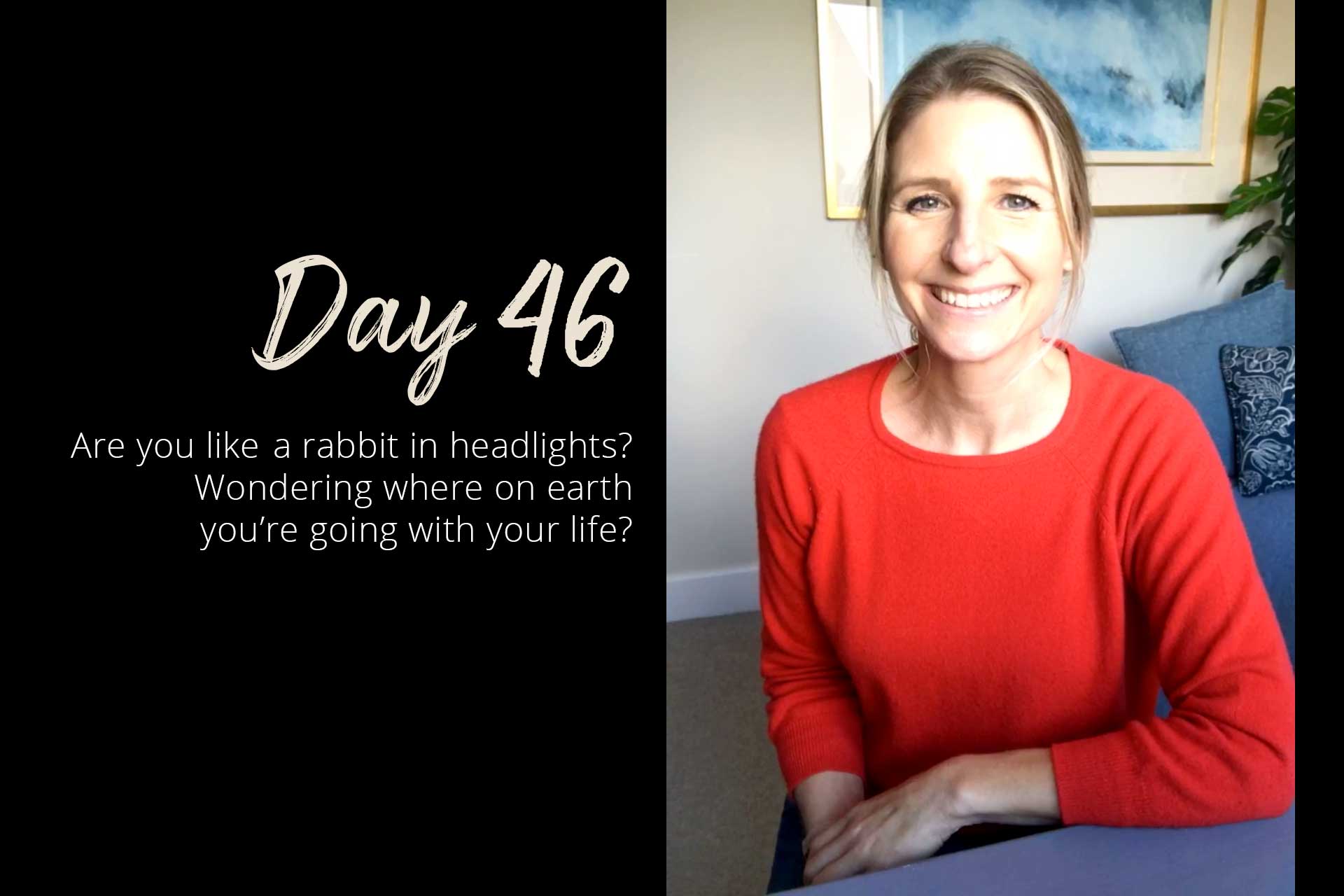 Day 46 - Rabbit in headlights?